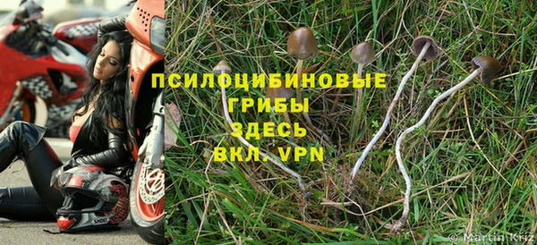 мет Кукмор
