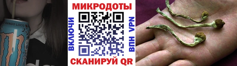 Галлюциногенные грибы мухоморы  Димитровград 