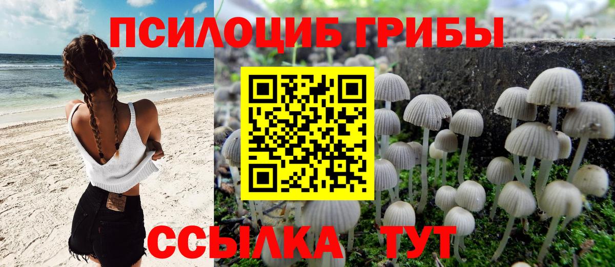 Галлюциногенные грибы мухоморы  Вход с VPN  Псилоцибиновые грибы MAGIC MUSHROOMS  где купить наркоту  Димитровград 