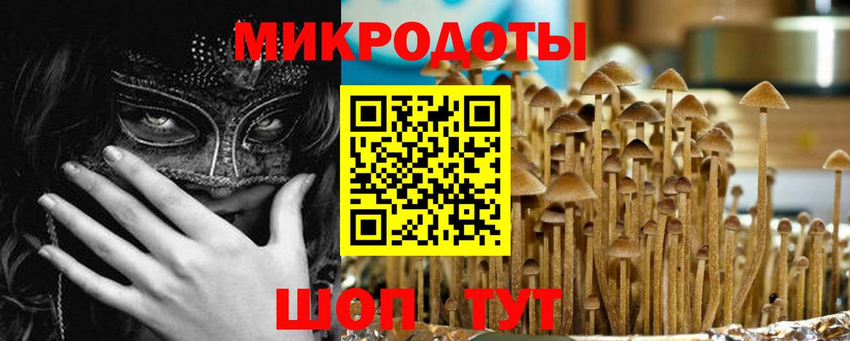 Галлюциногенные грибы GOLDEN TEACHER Димитровград